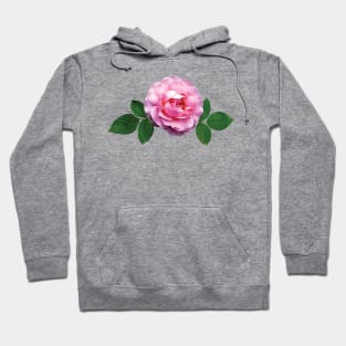 Roses - Dainty Pink Rose Hoodie